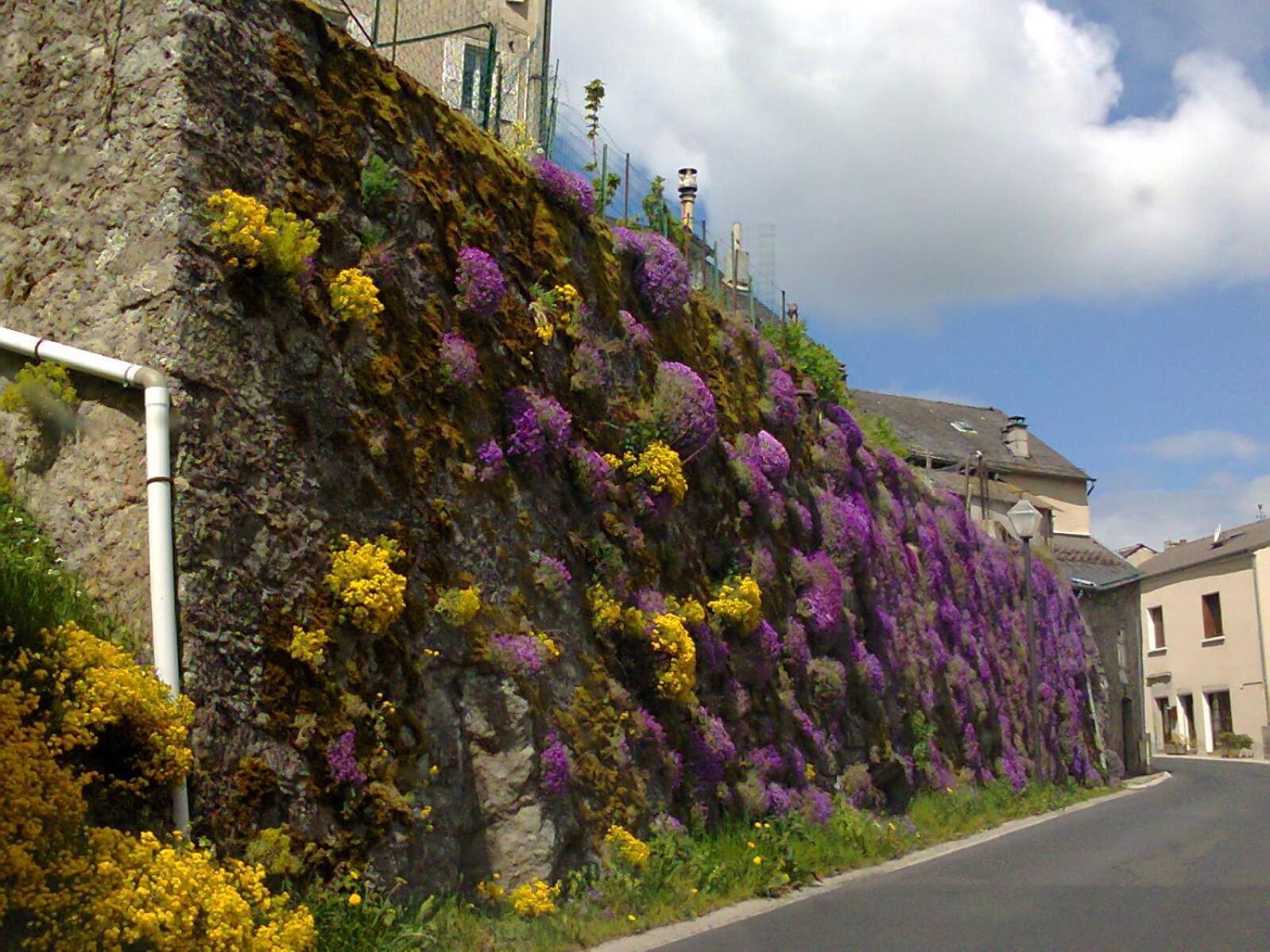 Le Chalet Du Roc La Panouse  Rum bild